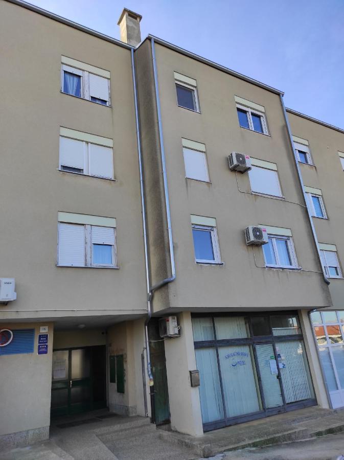 Apartment Dorrea بولا المظهر الخارجي الصورة